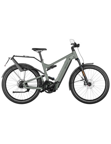 RIESE & MÜLLER DELITE4 GT ROHLOFF HS