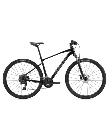 GIANT ROAM 2